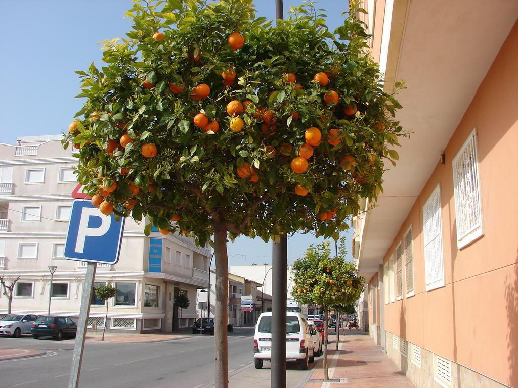 Ferienwohnung Apartamento Formentera Formentera de Segura Exterior foto